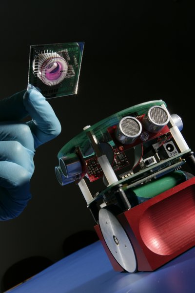 Rise Of The Bio-Brained Robots